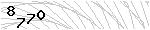 驗證碼